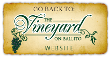 The Vinyard On Ballito